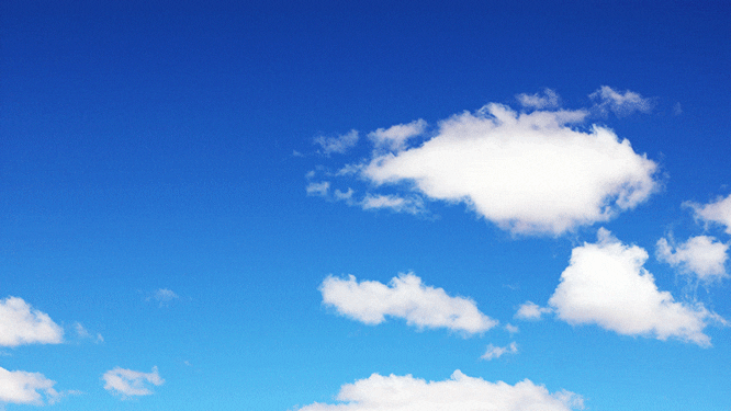 Senior Task Force Embarks on Carbon Pricing Education