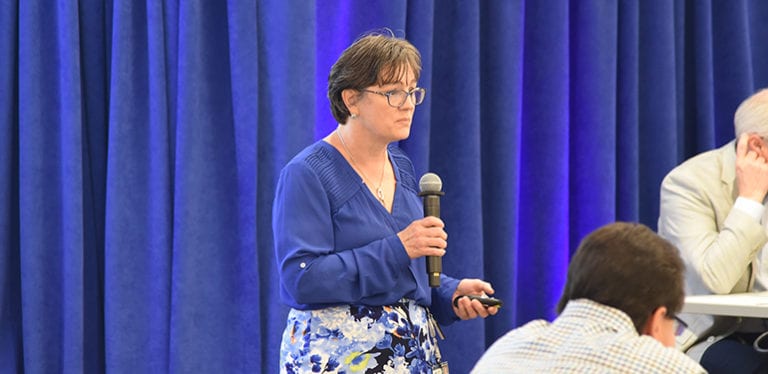 Sue Glatz Banner