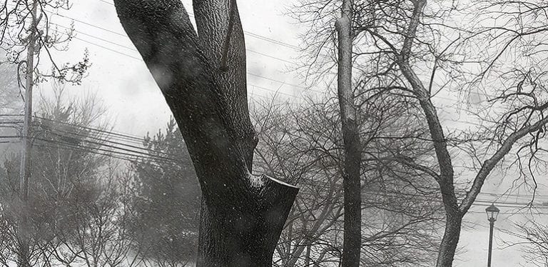 Cold Weather Alert Issued for ComEd