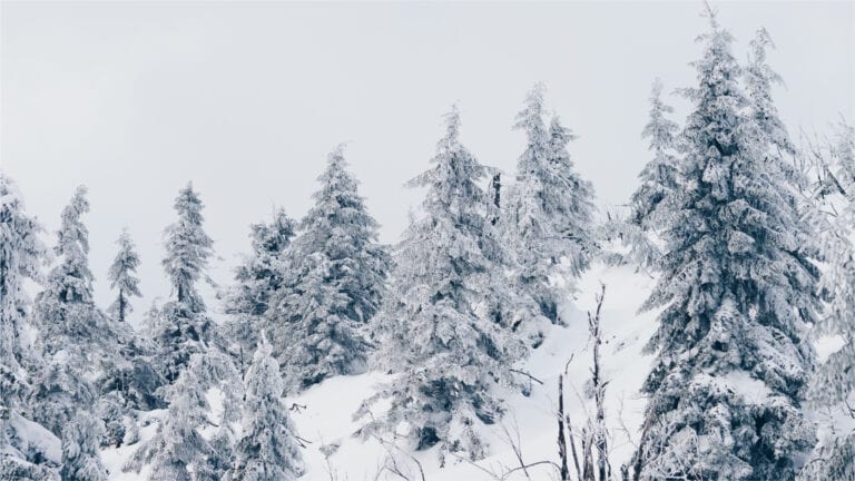 PJM Winter Outlook: Adequate Power Supplies Available Under Normal Conditions