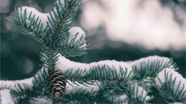 Jan. 17 Update: Cold Weather Advisory Extended Through Jan. 22 for PJM’s Western Region
